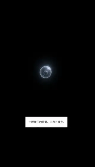 第 1 话